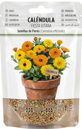 Color y Vida para Tu Jardín con Semillas de Caléndula | Flores Decorativas de Primavera DECOALIVE