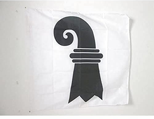 AZ FLAG - Drapeau Canton de Bâle-Ville - 90x90 cm - Drapeau Basel-Stadt - Bs Suisse 100% Polyester Avec Fourreau et Cordelette - Pavillon 80 g