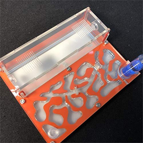 Formicarium Naturelle pour Ferme à Fourmis pour Tube à essai de Fourmis Live Humidité Grand Espace Nid de Fourmis en Acrylique Insectes (Orange)
