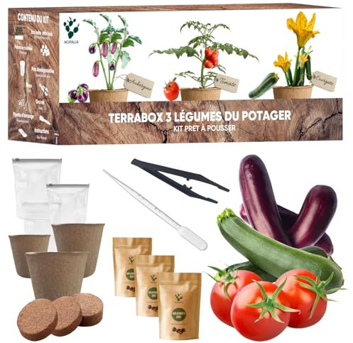 Kit Orto pronto a crescere – Semi Bio (Tomate, Zucchine, Melanzana) – Giardino interno ed esterno – Regalo originale per giardinaggio fai da te – Decorazione ecologica – Made in France