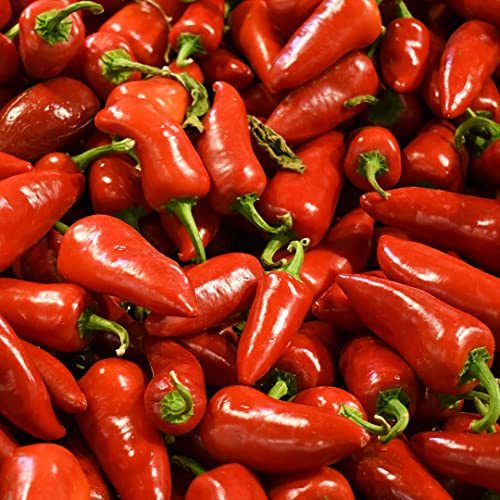 Pepper Joe’s Jalapeno Sweet Pepper Seeds ­­­­­– Pack of 10+ Sweet Red Jalapeno Pepper Seeds – USA Grown ­– Premium Non-GMO Mild Jalapeno Seeds for Planting in Your Garden