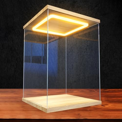 Boite Acrylique Grandes Boîtes en Acrylique avec Éclairage LED, Vitrines de 15, 20, 25, 30, 35, 40, 50, 60cm pour Objets de Collection, Bacs de Rangement Cubiques en Plastique avec Porte(L10xW15xH15cm