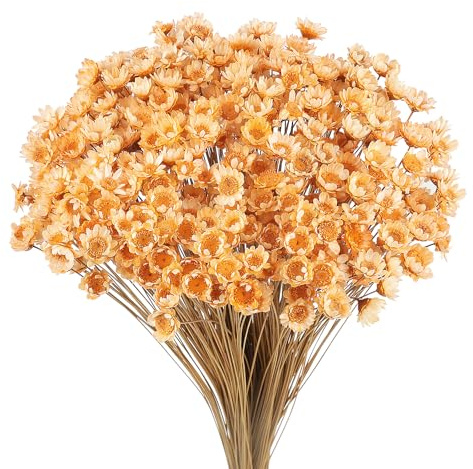 Larber 300 Pezzi Steli di Fiori Secchi Fiore Secco Margherita Fiore Essiccato Brasiliano Bianco Mini Fiori Secchi Bouquet Oggetti Di Scena Decor (Arancione chiara)