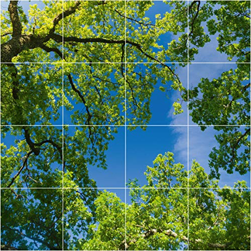 Motivdecken – Designdecken für Kassettendecken – Bedruckte Abhängedecken - Deckenbild für Rasterdecken z.B. OWA Mineralfaser Platten, Knauf AMF, Armstrong Decken Deckenpaneel – 62x62cm Platten