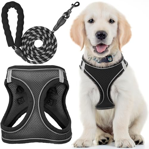 Hundegeschirr + verbesserte Leine - Groß, Raben Schwarz - Weich gepolstert, No Pull Design Haustiergeschirr + Reflektierende Streifen für kleine + mittelgroße Hunde