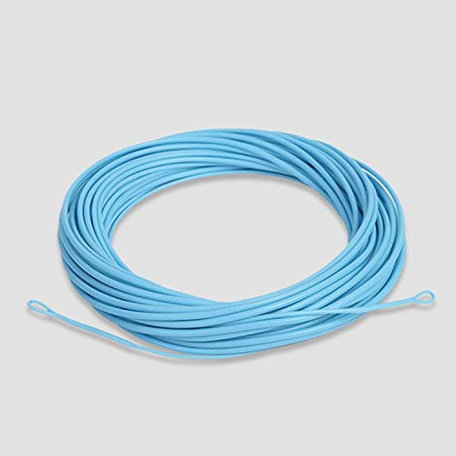 MAXIMUMCATCH Maxcatch Shooting Head Fly Fishing Line Floating/Sinking 30FT with 2 Welded Loops (Skyblue Floating Line, SH9F)