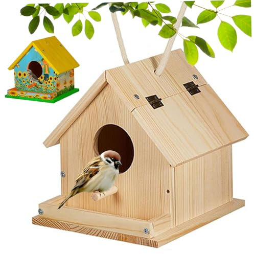 Kit de nichoir à Oiseaux en Bois pour Peindre et Construire des Kits de nichoir à Oiseaux avec Brosse, Tournevis, vis Montage, 6 Couleurs Peinture pour Enfants 3 Ans et Plus