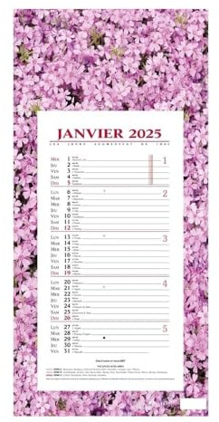 QUO VADIS - 1 Plaque Calendrier Mensuel Long - Motifs Fleurs - Janvier 2027 à Décembre 2027 - Format 16 x 33,3 cm