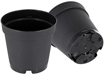 GREEN24 100 Runde Mini Pflanztöpfe Ø 5,5 cm Anzuchttöpfe Pflanztöpfe Blumentöpfe Saattöpfe runde Töpfe (100 Stück)