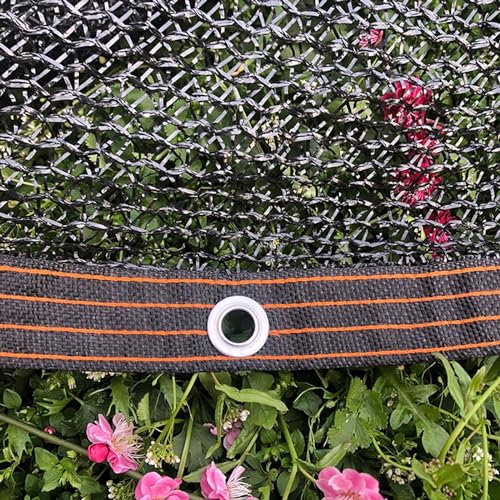 SGSKEIEY Filet Anti Feuille Piscine Filets D'Ombrage avec Oeillets,pour La Couverture VéGéTale/Serre/Jardin/Pergola/Patio Lawn/Pet House (3x5m,Shading 55%)