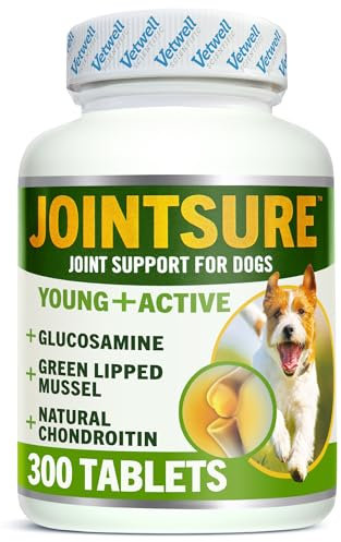 JOINTSURE Jeune & Actif Suppléments pour Les Articulations des Chiens et Chiots Aide à la Rigidité des Articulations 300 Comprimés - Hautes Teneurs en Glucosamine & Moule à Lèvres Vertes