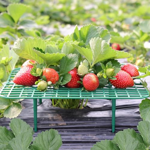 CNNIK Soporte de fresa (cuadrado-10 piezas)