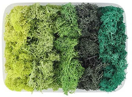200g Artificial Fresh Green Moss in 5 Colors - Preserved Eternal Decorative for Home, Garden, Patio, Miniature Fairy Garden Accessories, Plant House Decor