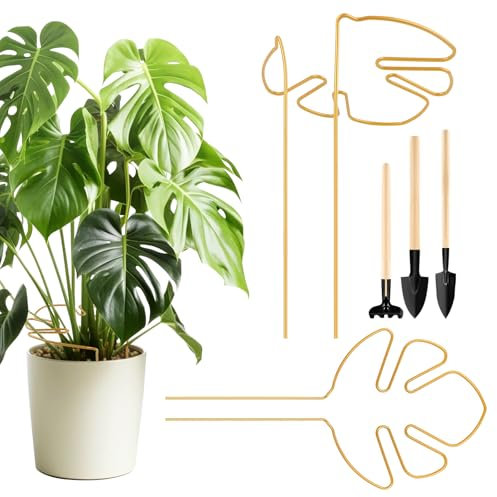 RtottiM 2 Soportes para Plantas para Hojas de Monstera, Soporte para Tallos de Monstera, Soporte para Tallos de Plantas para Plantas, Plantas de Interior, Accesorios para Estabilización y Apoyo