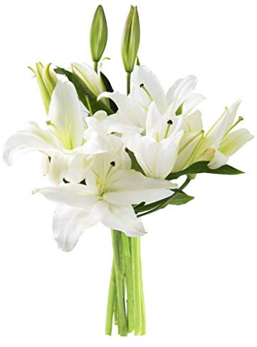 KaBloom PRIME NEXT DAY DELIVERY - Mother’s Day Collection - Pure Love Bouquet of Fresh White Lilies| Fresh For Delivery Prime.Gift for Birthday, Thank You, Valentine, Mother’s Day Fresh Flowers