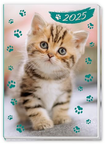 Trötsch Taschenkalender A7 Katze 2025: Mini-Terminkalender