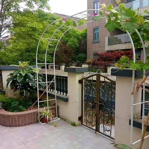 Arco Roses pour plantes grimpantes Arches métalliques résistantes à l'arche de jardin Pavillons Mélèze 80-350 cm pour mariage, fête, jardin (couleur : vert, taille : 80 x 200 cm/2,6 x 6,6 pieds)