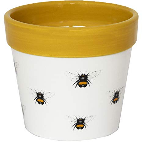 Ivyline Maceta, cerámica, Blanco/Mostaza, 9 cm