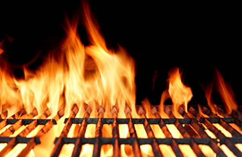 VLIES Fototapete-GRILLFEUER-(X1043ah)-450x280cm-Küche, Restaurant, Bar, Essen, Lebensmittel, Ernährung, Gemüse, Obst, Fleisch, Getränke, XXL Wandbild, Poster, Dekoration