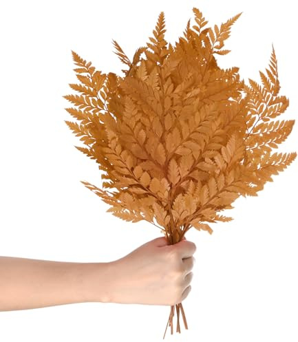 M METERXITY 10-Pack Fern, 15 Natural Dried Greenery with Stems for Wedding Garland Bouquet/Home Party/DIY Crafts Decors, Dried Plants [Brown]