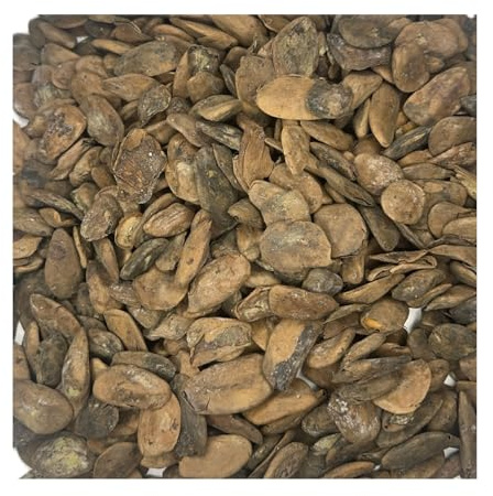 Abere Seeds (Hunteria Umbellata) - 20 Seeds