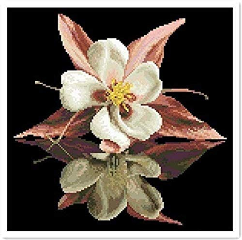 Kreuzstichset Für Erwachsene Orchidee 11CT Full Range of Embroidery Starter Kit DIY Kinder Erwachsene Familie Dekoration 40x50cm