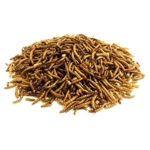 MALTBYS' STORES 1904 LTD Dried Mealworms 12.5kg Premium Insectivorous Wild Bird Food Brown