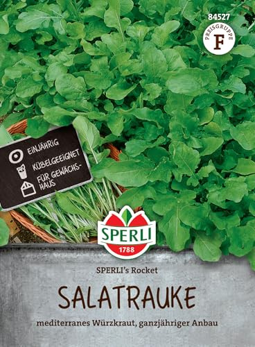Sperli Salatraukesamen SPERLI's Rocket 84527, Gemüsesaat