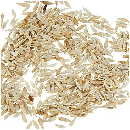 Battle - Semi Ecologici Lattuga Meraviglia Estiva (400 Semi - Bio)