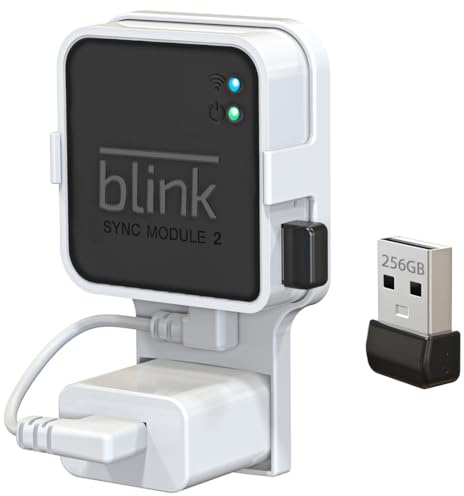 Hibezos Chiavetta USB Blink da 256 GB, compatibile con modulo Blink Sync 2, supporto a parete per risparmiare spazio, archiviazione stabile e sicura