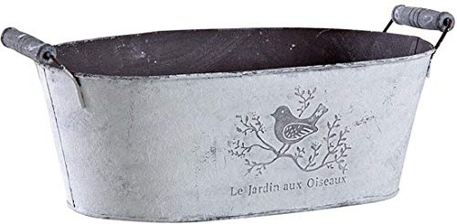 AUBRY GASPARD - Corbeille Ovale en Métal Le Jardin aux Oiseaux - Patiné - Métal et Bois (Poignées) - Dimensions 30 x 18 x 11 cm - Décoration Intérieure Élégante - Jardinière ou Cache-Pot Polyvalent