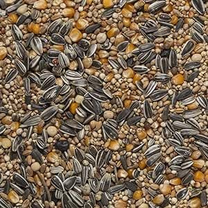 Il Contadino - Antichi Becchimi | Misto per COLOMBI Super | Formula Ricca di Semi Selezionati Adatta per Tutto L'Anno, No OGM, 100% Vegetale, Assenza di scarti. qualità Superiore (10 kg)