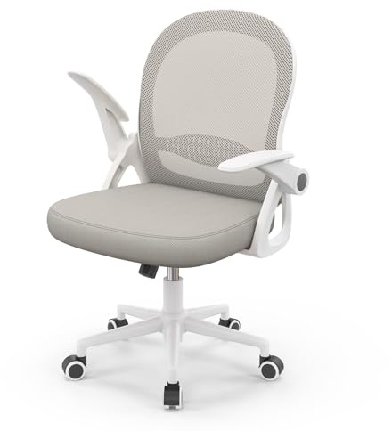 naspaluro Chaise de Bureau avec Accoudoir Relevable, Fauteuil de Bureau avec Soutien Lombaire, Siège Bureau avec Dossier Moyen de 45 cm (sans Repose-Pieds ni Appuie-tête, Gray)
