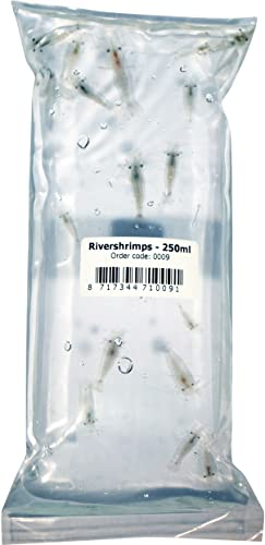 Aquadip Zwerggarnelen 250 ml Beutel (+/- 10 STK.) | Versand Dienstag | Zierfisch Lebendfutter