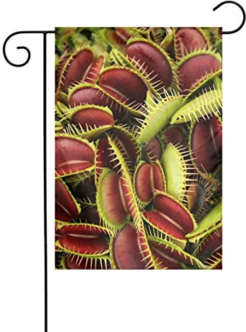 LAMAME Drapeau de jardin double face imprimé plante carnivore drapeau de jardin extérieur drapeau de décoration de jardin drapeau vertical