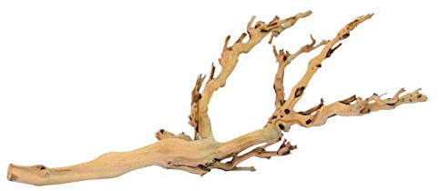 Exo Terra Forest Branch, Medium (Exact Size May Vary)