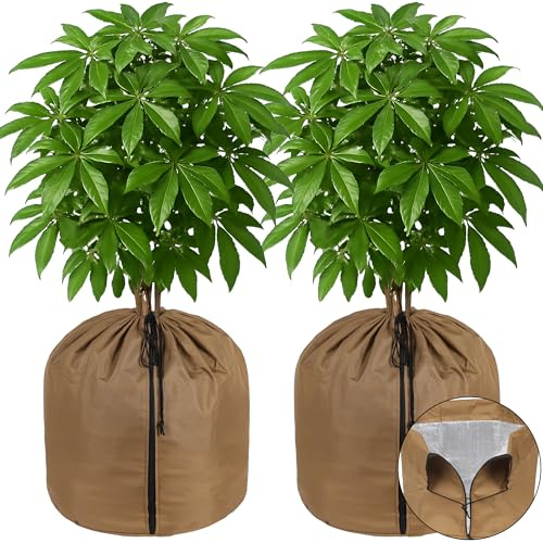 COZCLAM Set de 2 Fundas Térmicas para Macetas 45×50 cm – Protección Invernal con Revestimiento de Aluminio, Cremallera y Cordón – Cubre Macetas Aislante para Plantas en Maceta y Raíces