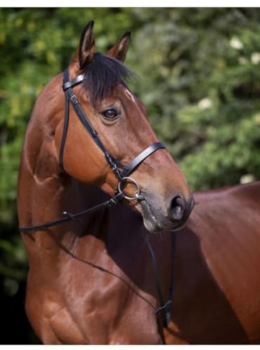 Riding World Trensenzaum näsrem fransk ponny svart