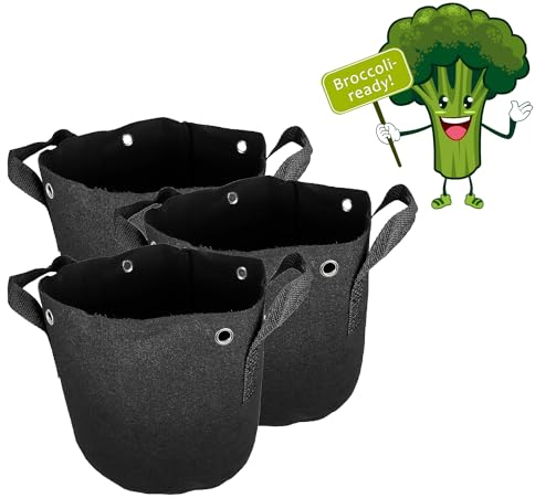 honju Home Grow-Bag – Maceta de Tela de 11 l (3 Unidades) [Bolsa de plantación, macetas para Exteriores con Agujeros Reforzados para Atar Abajo, Mejor Crecimiento de Las raíces, Evitar el