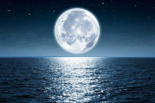 Papier Peint Photo INTISSÉ-LUNE-400x260 cm-(1336AE)-Nature Étoiles Mer Ciel Plage Galaxie Planètes Océan Colle Inclus Mural Décor Motif Poster Géant Stickers Muraux Optique Moderne Fond Effet XXL