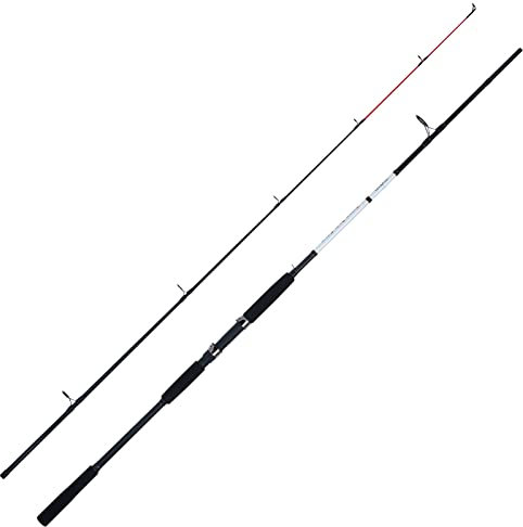 WFT XK Bone Pro Plattfisch Boat 40-150g 2,60m 2-TLG - Bootsrute, Meeresrute, Steckrute