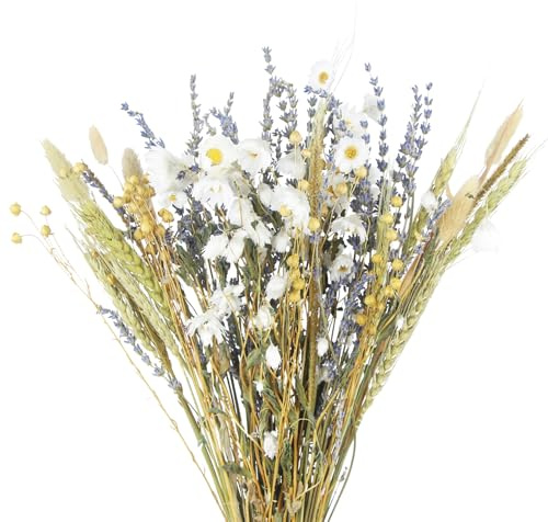CISDUEO Dried Flowers Bouquet Dried Daisy Flowers Natural Lavender Bundles Dried Gerber Daisies Flowers Bunny Tails Wheat Stalks Floral Arrangements for Wedding Table Centerpiece Decor Farmhouse DIY