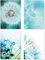 PICSonPAPER Poster 4er-Set PUSTEBLUMEN, ungerahmt DIN A4, Kunstdruck, Poster, Dekoration, Wandbild, Geschenk, Makroaufnahmen