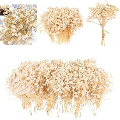 ACKKOR 130 Fleurs séchées de gypsophile artificielles avec Pince, Fleurs Naturelles séchées pour résine, créations DIY, Cartes de Mariage, décoration de gâteaux (Jaune)