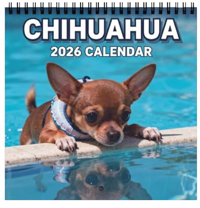 Calendario Chihuahua 2026 con fotos mensuales Diseño de 12 meses de enero a diciembre Grandes espacios de cuadrícula para escribir citas para el hogar, dormitorio, escuela, trabajo, apartamento