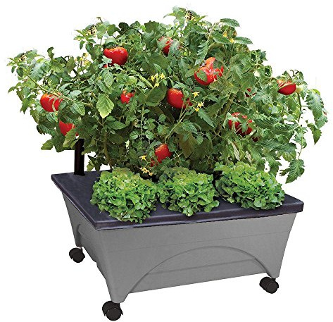 Emsco Group City Picker Raised Bed Grow Box – Self Watering and Improved Aeration – Mobile Unit with Casters - Slate