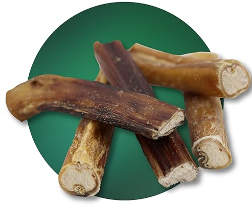 BREERs Getrocknete Ochsenziemer 20 cm für Hunde 100g eigene deutsche Herstellung | Hundeleckerli Kaustange Hundesnack für große, kleine Hunde & Welpen | Kauartikel reinigt und stärkt das Gebiss