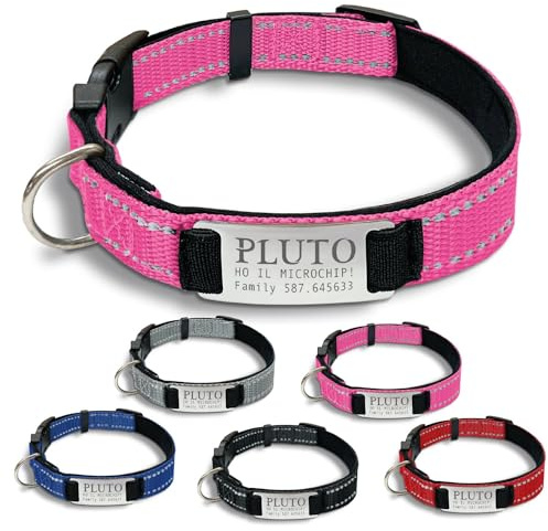 Gruppo Veneziano - collare cane personalizzato - collare cane personalizzabile con targhetta in metallo - linee Catarifrangenti - clip in abs - gancio per guinzaglio