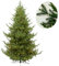 IGOOD Premium Künstlicher Weihnachtsbaum 180cm mit Beleuchtung 1000 Warmweißen Lichtern–Einfacher Aufbau Wunderschöne Baumspitzen aus 100% Spritzguss-Besonders Naturgetreuer PE Tannenbaum Christbaum
