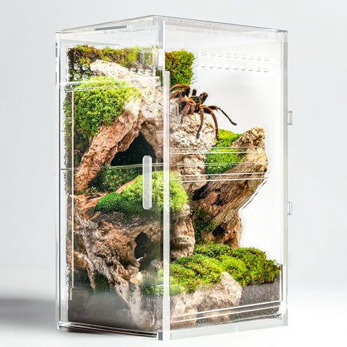 CEOTIS Jaula para Saltamontes - Recinto 6x6x15 cm Mini Recinto para Tarántula, Pequeño Accesorio de Terrario para Saltamontes, Terrario de Acrílico para Recinto de Tarántula, Tortuga, Mantis Religiosa